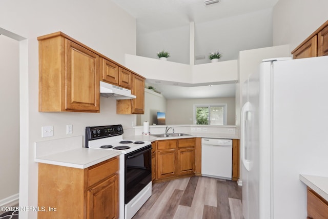 1260 Winding Brook Ct, Middleburg, FL 32068 - kitchen featuring white appliances, under cabinet range hood, a sink, light wood-type flooring, and light countertops