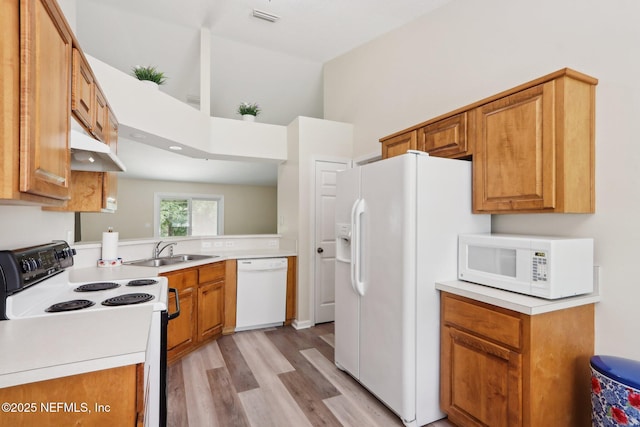 1260 Winding Brook Ct, Middleburg, FL 32068 - kitchen featuring white appliances, a sink, under cabinet range hood, light wood-style flooring, and light countertops