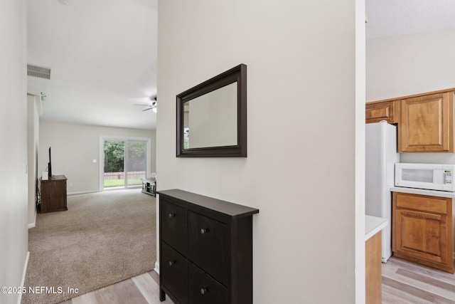 1260 Winding Brook Ct, Middleburg, FL 32068 - hall with light wood-type flooring