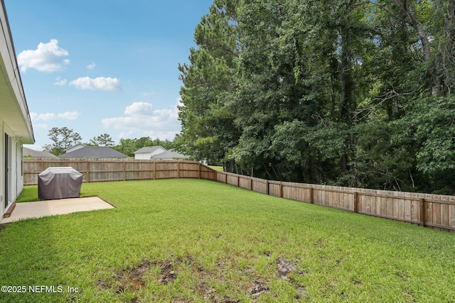 1260 Winding Brook Ct, Middleburg, FL 32068 - view of yard featuring a patio area