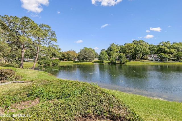 4580 Carolyn Cove Ln N, Jacksonville, FL 32258 - water view with a tree filled landscape