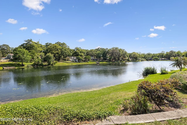 4580 Carolyn Cove Ln N, Jacksonville, FL 32258 - water view