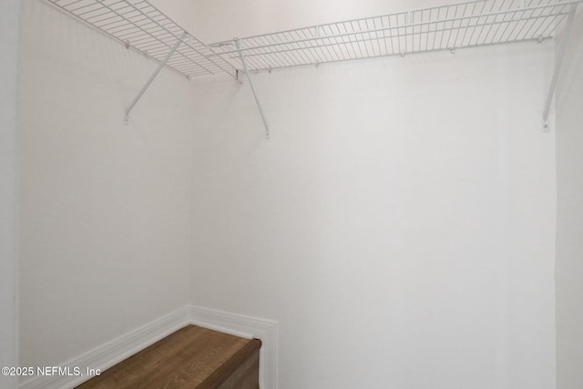 274 Syrah Way, Saint Augustine, FL 32084 - view of spacious closet