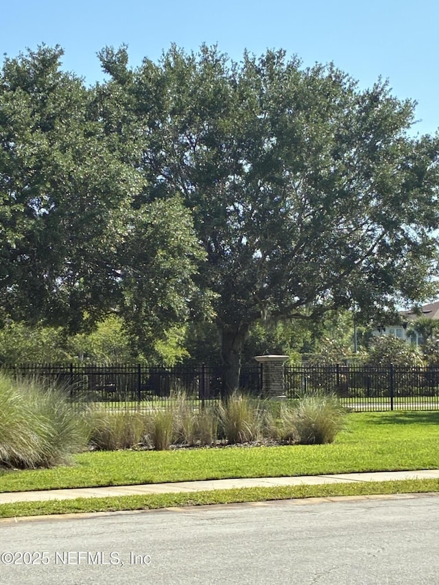 274 Syrah Way, Saint Augustine, FL 32084 - view of yard