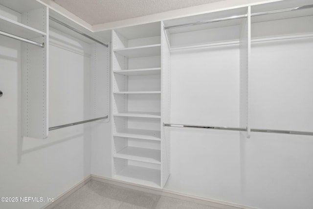 8127 Middle Fork Ln, Jacksonville, FL 32256 - view of walk in closet