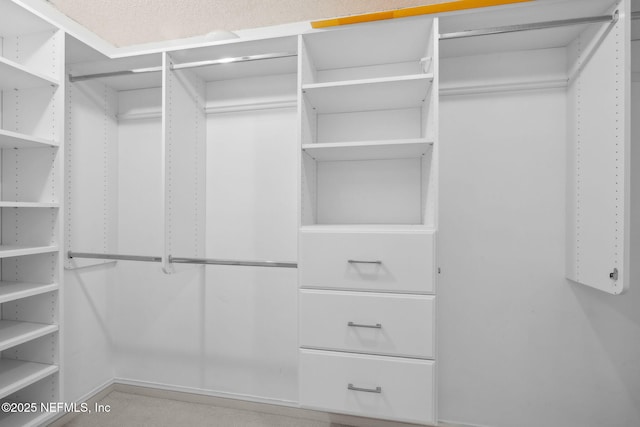 8127 Middle Fork Ln, Jacksonville, FL 32256 - view of spacious closet