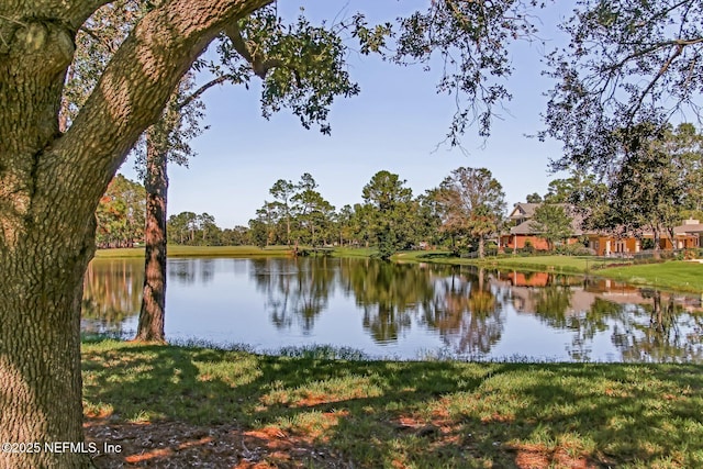 8127 Middle Fork Ln, Jacksonville, FL 32256 - water view