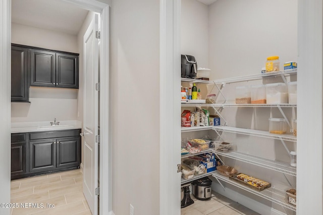70 Pavo Cir, Saint Johns, FL 32259 - pantry featuring a sink