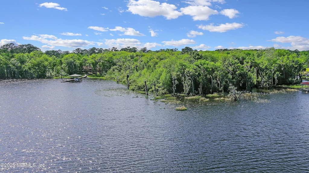 258 Lake Dr, Florahome, FL 32140