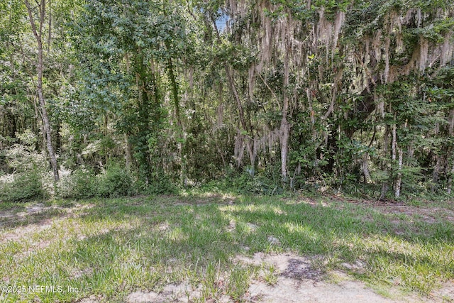 3566 Twisted Tree Ln, Jacksonville, FL 32216 - photo 20