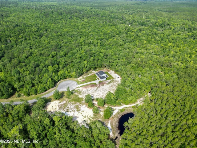 15466 Bullock Bluff Rd, Bryceville, FL 32009 - aerial overview of property's location featuring a forest
