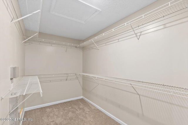 1147 Hyacinth St, Saint Augustine, FL 32092 - walk in closet featuring carpet flooring and attic access