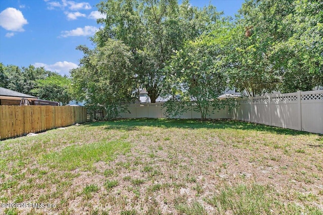 1147 Hyacinth St, Saint Augustine, FL 32092 - view of yard