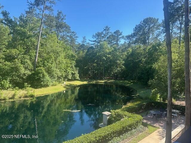955 Registry Blvd Unit 229, Saint Augustine, FL 32092 - water view featuring a heavily wooded area