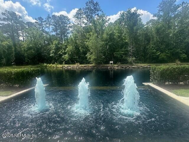 955 Registry Blvd Unit 229, Saint Augustine, FL 32092 - water view with a forest