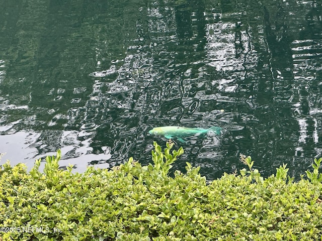 955 Registry Blvd Unit 229, Saint Augustine, FL 32092 - view of nature