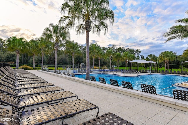 95 Farmers Branch Ave, Ponte Vedra, FL 32081 - community pool with view of scattered trees and a patio area