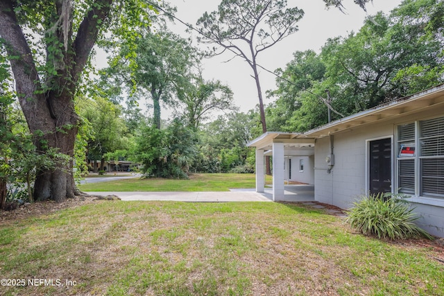 6351 Fabian Dr, Jacksonville, FL 32210 - photo 4