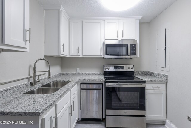 6351 Fabian Dr, Jacksonville, FL 32210 - photo 16