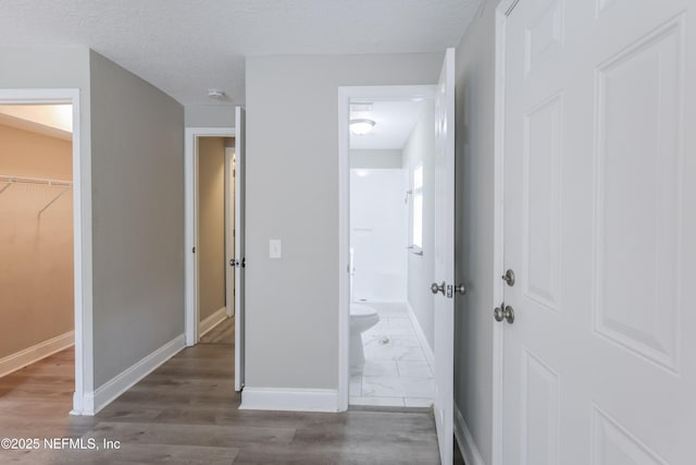 6351 Fabian Dr, Jacksonville, FL 32210 - photo 24