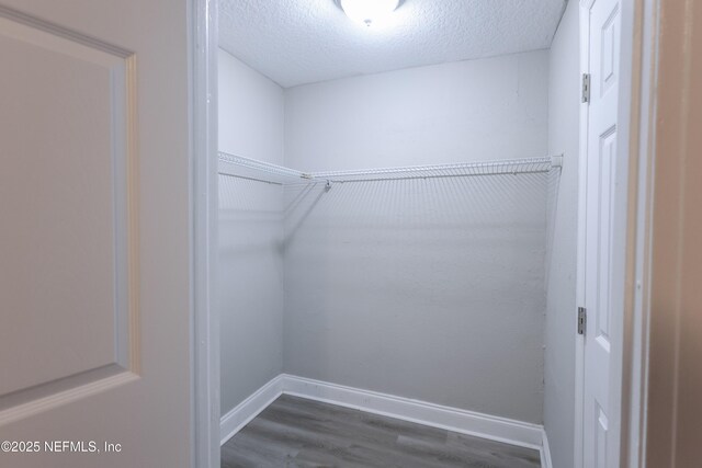6351 Fabian Dr, Jacksonville, FL 32210 - photo 32
