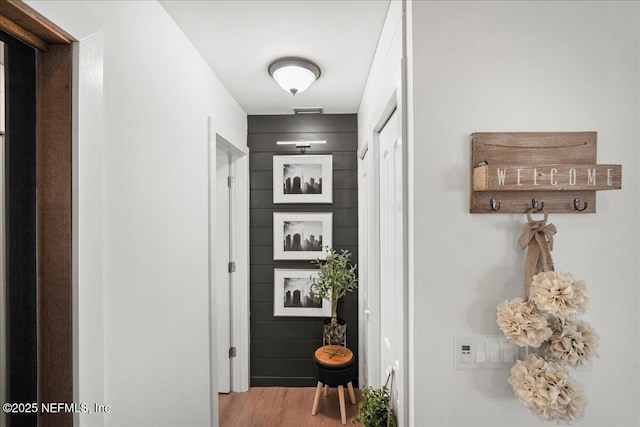 404 Camelia Trl, Saint Augustine, FL 32086 - hallway featuring light wood finished floors