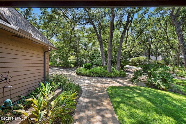 404 Camelia Trl, Saint Augustine, FL 32086 - view of green lawn featuring view of wooded area