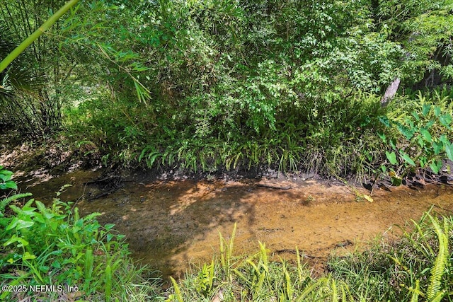 404 Camelia Trl, Saint Augustine, FL 32086 - view of undeveloped land