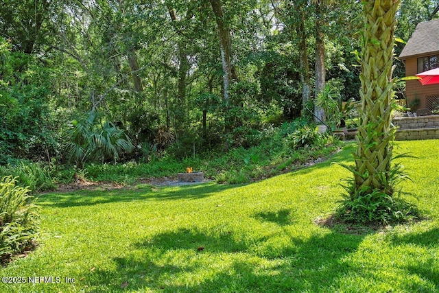 404 Camelia Trl, Saint Augustine, FL 32086 - view of grassy yard
