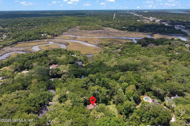 404 Camelia Trl, Saint Augustine, FL 32086 - aerial view of property's location with a forest and a nearby body of water