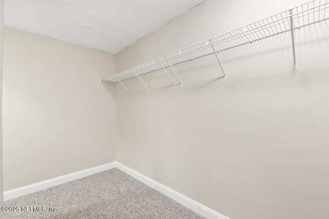 2718 Parkrus Ln, Jacksonville, FL 32208 - spacious closet featuring carpet floors