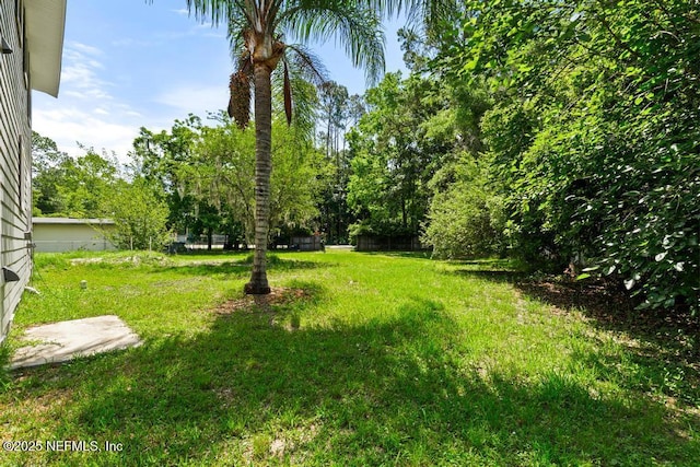 2718 Parkrus Ln, Jacksonville, FL 32208 - view of yard