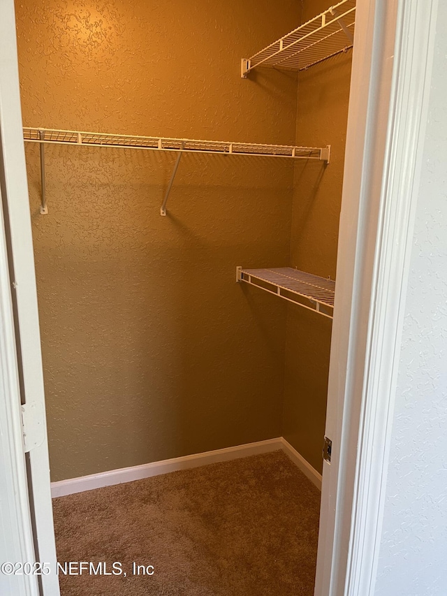 425 Timberwalk Ct Unit 1135, Ponte Vedra Beach, FL 32082 - walk in closet featuring carpet