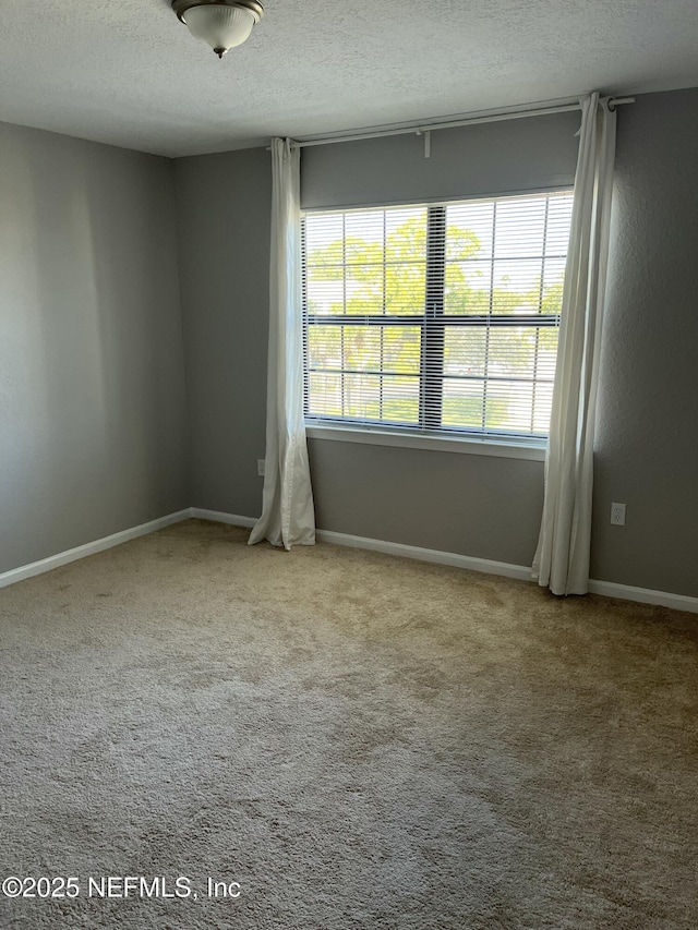 425 Timberwalk Ct Unit 1135, Ponte Vedra Beach, FL 32082 - spare room featuring a textured ceiling, plenty of natural light, carpet, and baseboards