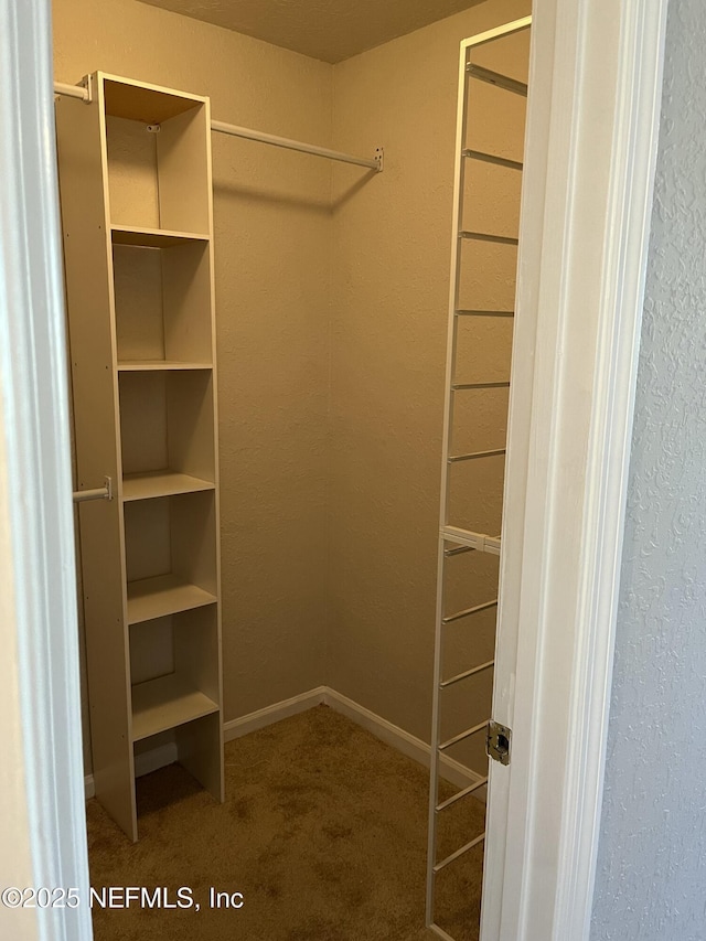 425 Timberwalk Ct Unit 1135, Ponte Vedra Beach, FL 32082 - spacious closet with carpet flooring