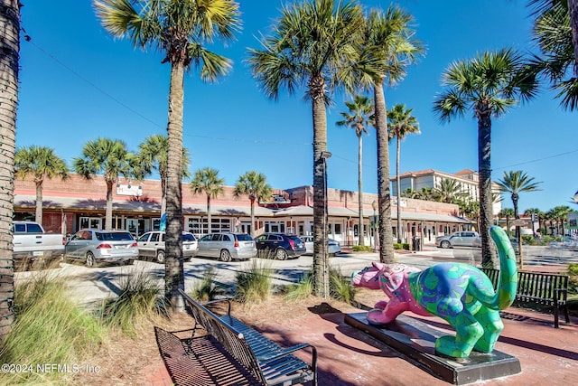 901 Ocean Blvd Unit 98, Atlantic Beach, FL 32233 - view of property's community