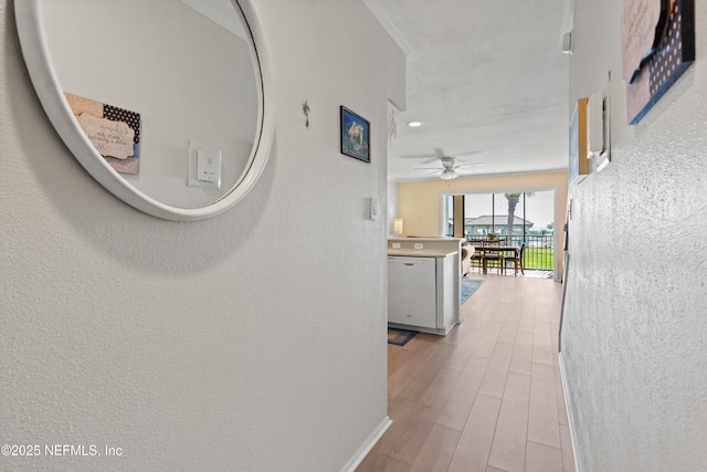 2327 Costa Verde Blvd Unit 201, Jacksonville Beach, FL 32250 - corridor with light wood-style flooring and a textured wall