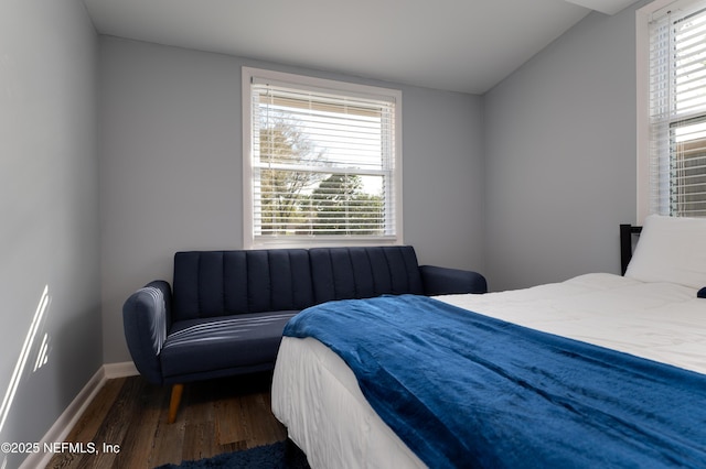 5253 Royce Ave, Jacksonville, FL 32205 - bedroom with wood finished floors, baseboards, and multiple windows