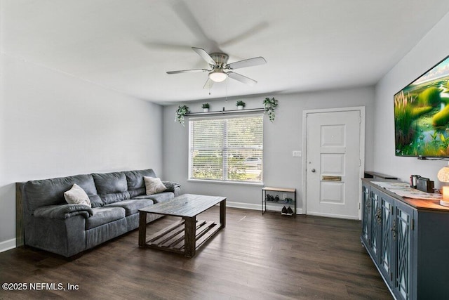1702 Dibble Cir E, Jacksonville, FL 32246 - living room featuring ceiling fan, dark wood-style flooring, and baseboards