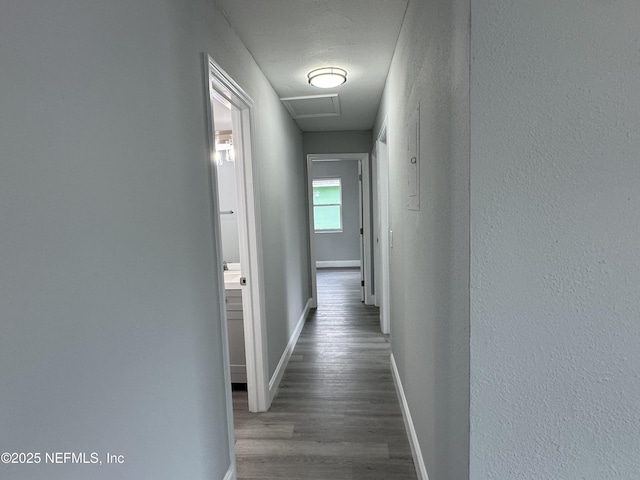 3114 Breve Dr, Jacksonville, FL 32209 - corridor with attic access, wood finished floors, and baseboards