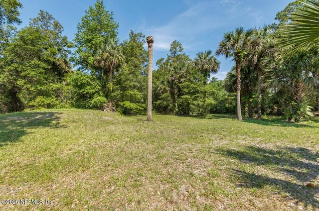 2022 Guava Ln, Bunnell, FL 32110 - view of grassy yard