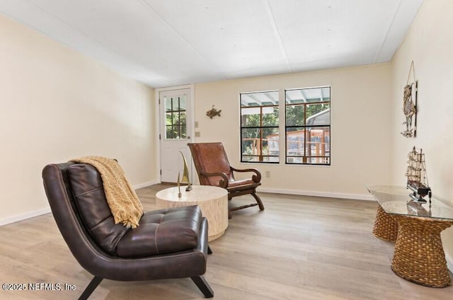 2022 Guava Ln, Bunnell, FL 32110 - living area with light wood-type flooring and baseboards