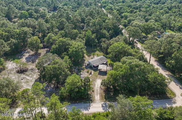 2022 Guava Ln, Bunnell, FL 32110 - aerial overview of property's location featuring a heavily wooded area