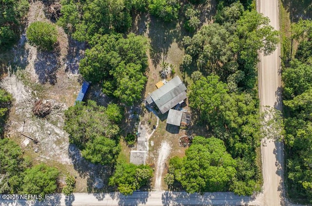 2022 Guava Ln, Bunnell, FL 32110 - aerial view of property's location