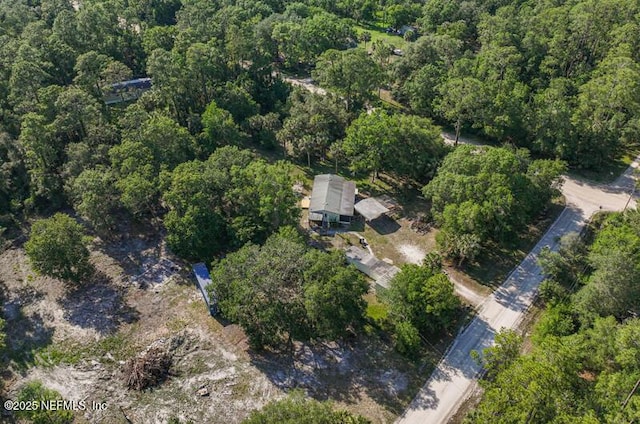 2022 Guava Ln, Bunnell, FL 32110 - aerial view of property's location featuring a heavily wooded area