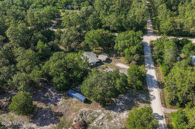 2022 Guava Ln, Bunnell, FL 32110 - view of property location featuring a forest