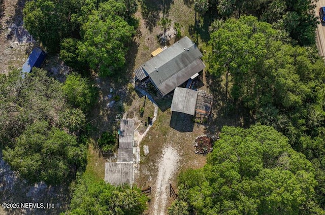 2022 Guava Ln, Bunnell, FL 32110 - view from above of property