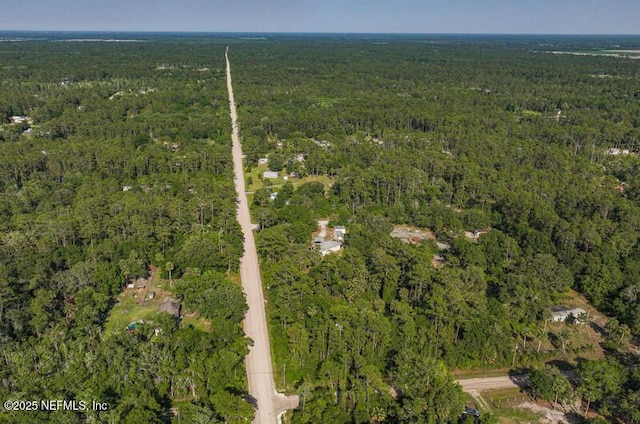 2022 Guava Ln, Bunnell, FL 32110 - aerial view of property's location with a heavily wooded area