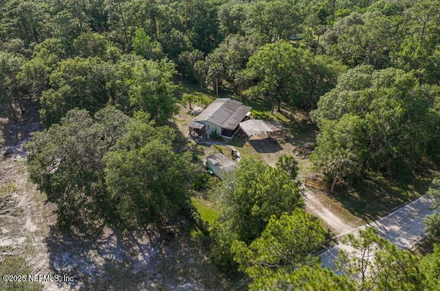 2022 Guava Ln, Bunnell, FL 32110 - view of property location featuring a heavily wooded area