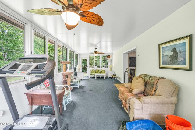 2097 Frogmore Dr, Middleburg, FL 32068 - sunroom with ceiling fan and carpet